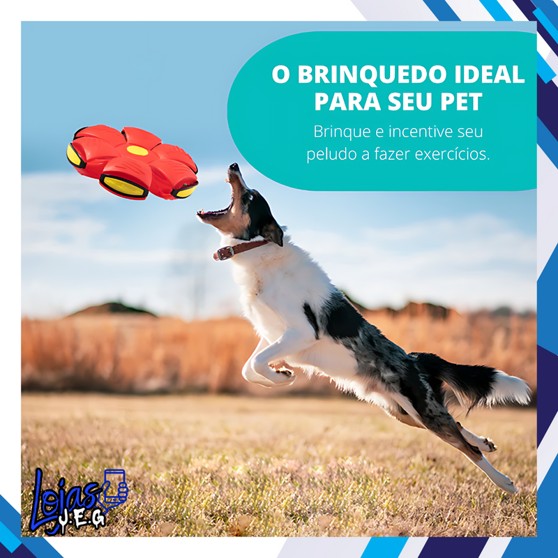 Poing Pet  - Seu Amiguinho Precisa de Uma Bolinha Dessas!